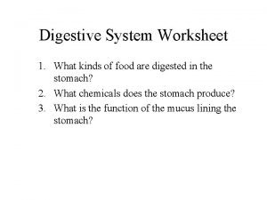 Digestive system worksheet