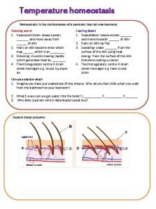 Temperature homeostasis Homeostasis is the maintenance of a