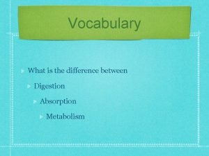 Difference between digestion and metabolism