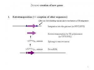 Horizontal gene transfer