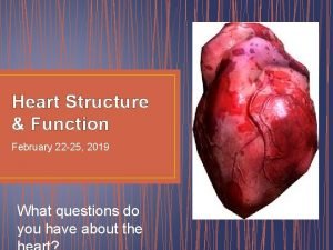 The function of the heart valves is to_____.