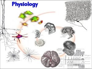 Physiology Animal Physiology Animal organ System Homeostsis Animal