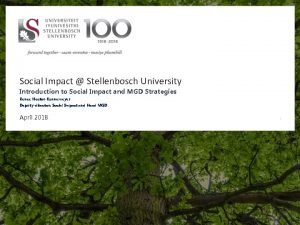 Social impact stellenbosch university