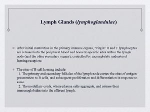 Supromedial