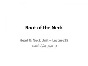 Root of the Neck Head Neck Unit Lecture