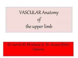 Wrist anastomosis