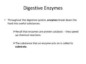 Digestive Enzymes Throughout the digestive system enzymes break