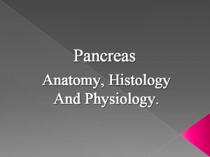 Pancreas Anatomy Histology And Physiology Anatomy Histology Physiology