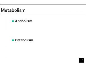 Metabolism n Anabolism n Catabolism 1 Energy Capture