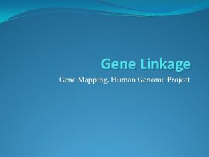 Gene Linkage Gene Mapping Human Genome Project Gene