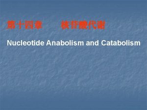 Nucleotide Anabolism and Catabolism Radioisotope tracer experiments revealed