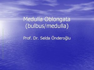 Medulla Oblongata bulbusmedulla Prof Dr Selda nderolu Medulla