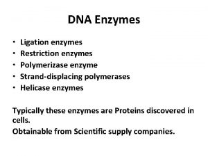 DNA Enzymes Ligation enzymes Restriction enzymes Polymerizase enzyme