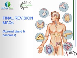 Anatomy team anatomy 433gmail com ADRENAL GLAND anatomy