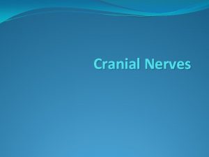 Cranial nerves