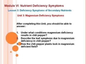 Module VI Nutrient Deficiency Symptoms Lesson 3 Deficiency