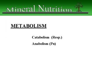 METABOLISM Catabolism Resp Anabolism Pn PHOTOSYNTHESIS Pn Cosmic