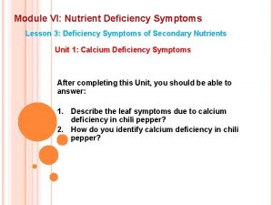 Module VI Nutrient Deficiency Symptoms Lesson 3 Deficiency