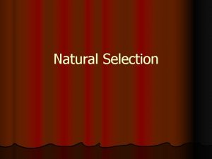 Natural Selection Natural Selection Objectives 1 Explain how