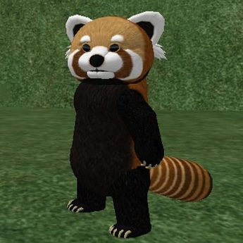 Tiny Red Panda Avatar