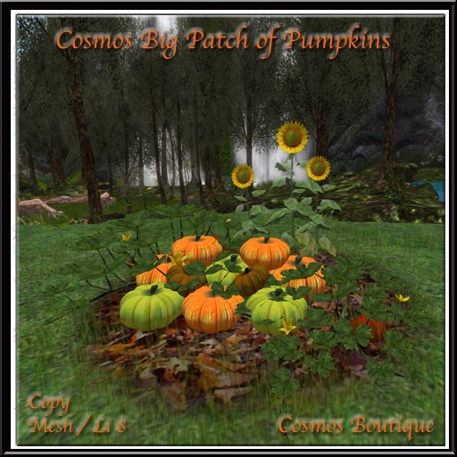 Second Life Marketplace - Cosmos Big Patch of Pumpkins (BOX)