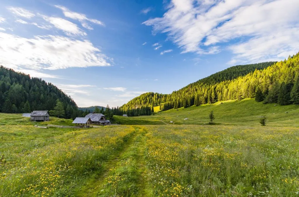 Views on Pokljuka and its nature