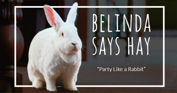 Belinda Says Hay spokesrabbit blog, Dec 29, 2024. "Party Like a Rabbit"