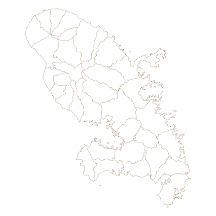 Mercator projection map of Martinique showing commune boundaries in dark amber on transparent background