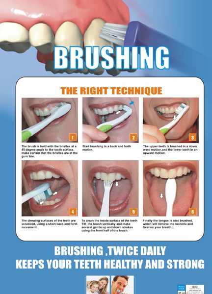 Brushing technique (Eng) DP-46 E. – Smart Doc Posters