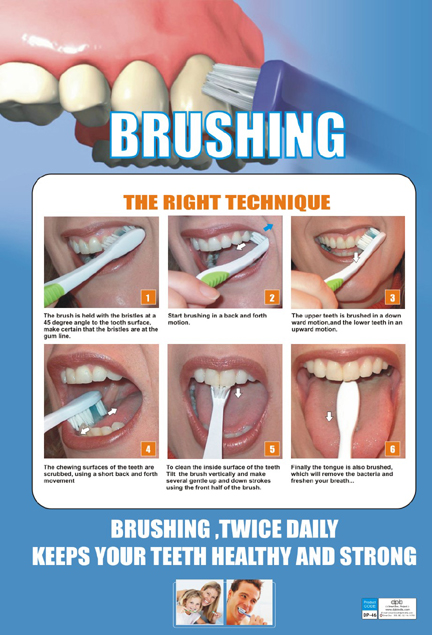 Tooth Brushing Techniques Online Outlet, Save 64% | jlcatj.gob.mx