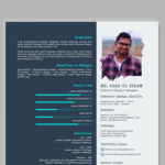 Visual Typographic Resume