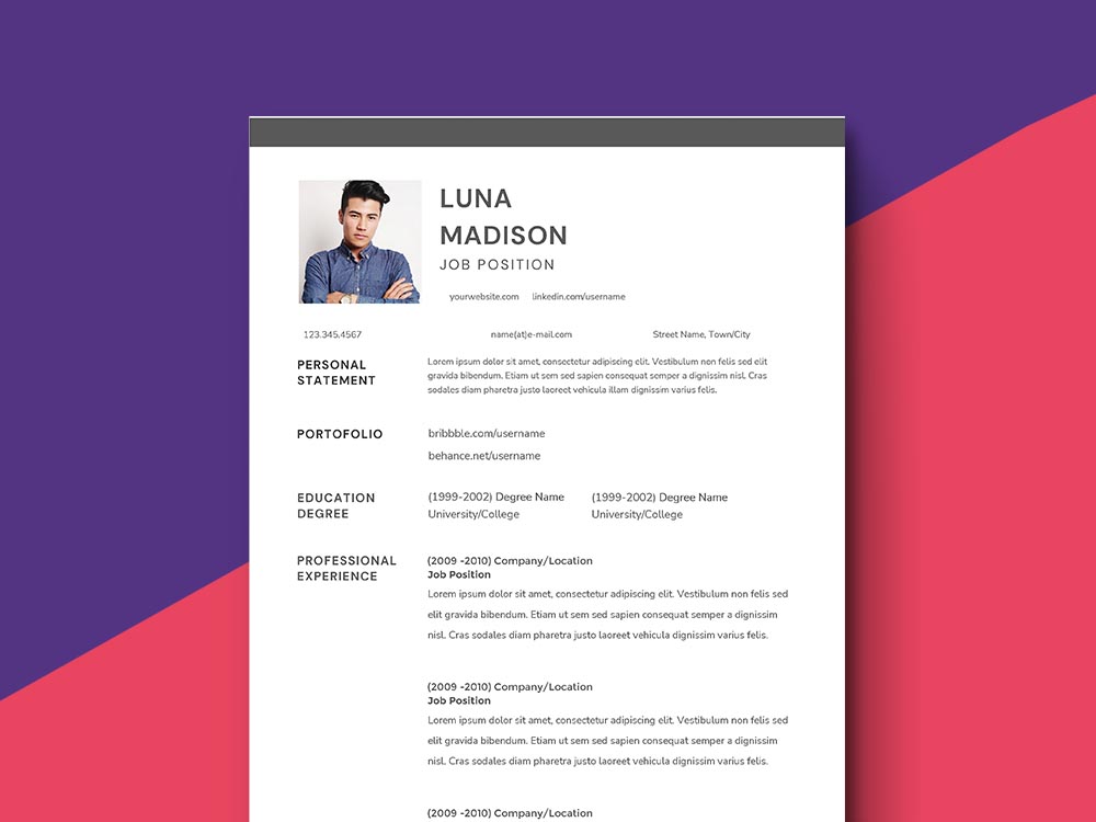 Area Coordinator Resume Example