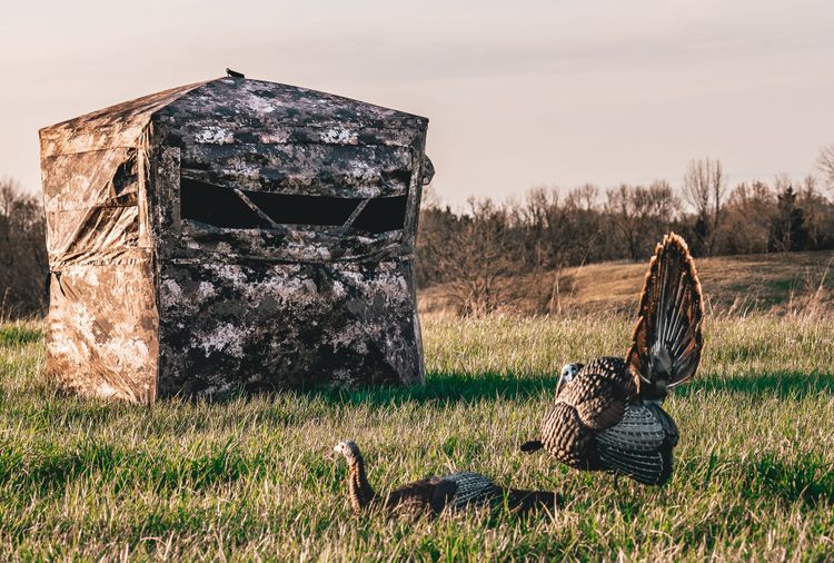 When Is NC Turkey Season? | HuntWise