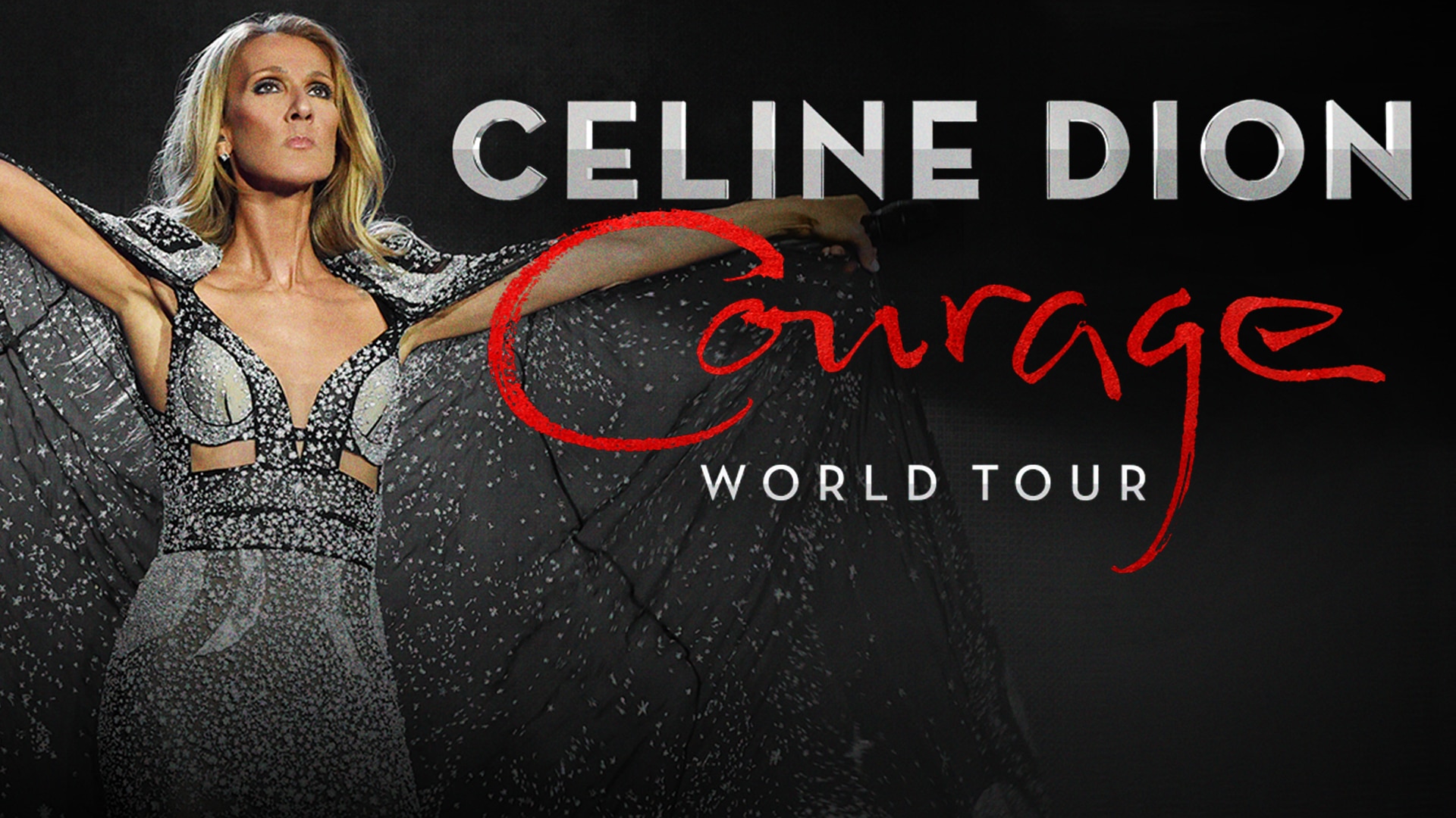 Celine Dion Courage World Tour Capital One Arena