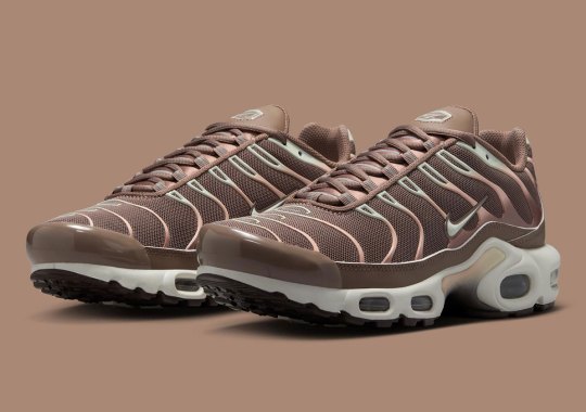 "Mink Brown" Coats A Rare Earthy Nike Air Max Plus