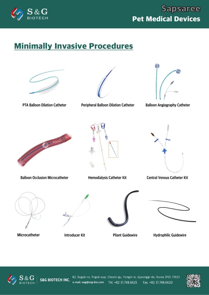 Stenting – S & G Biotech Inc.