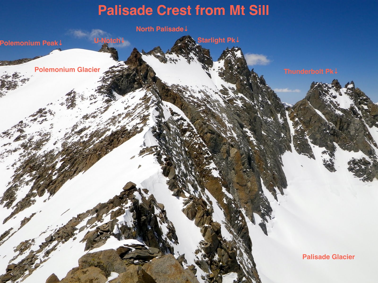 polemonium, california 14ers