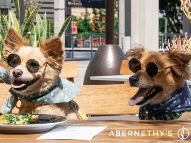 Abernethy's free Puppy Yoga