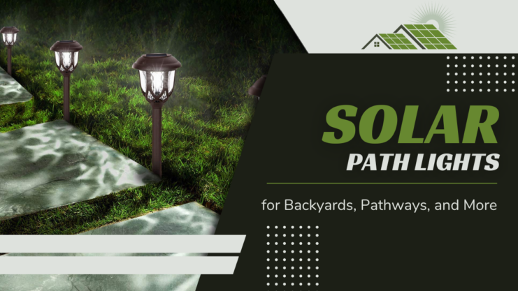 Backyards solar lights