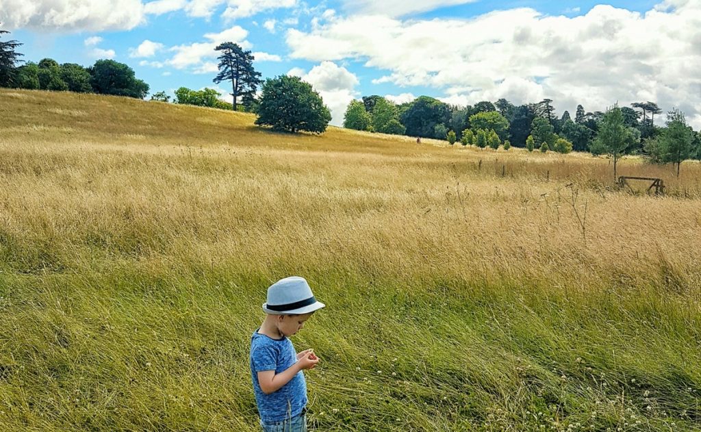 Boy with autism in a field