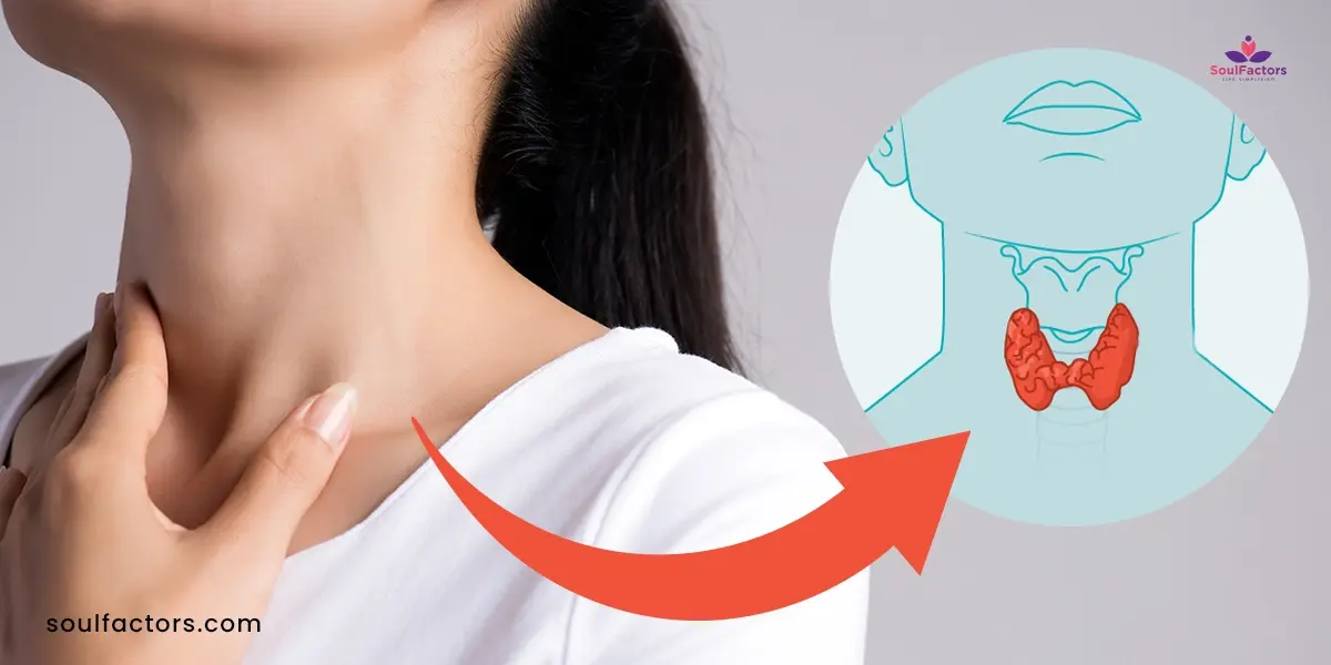 What Are Early Warning Signs Of Thyroid Problems? What To Do?