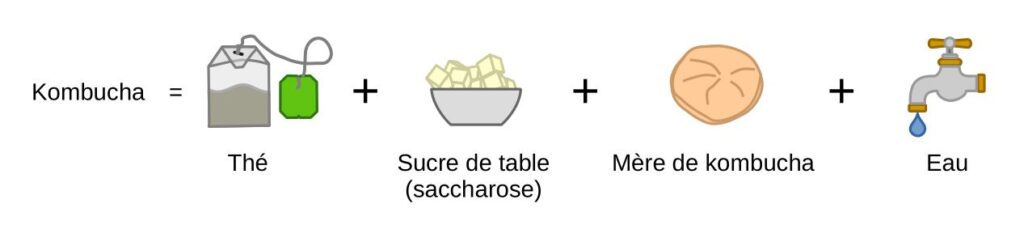 Ingrédients utilisés pour préparer du kombucha