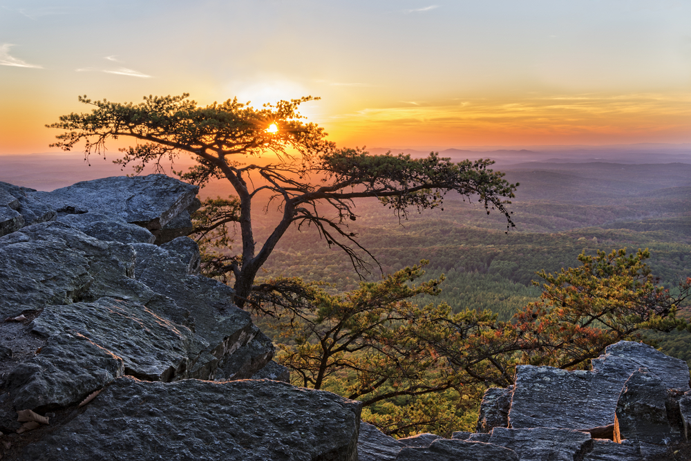 Now this is a great view you can only find at Cheaha State Park in Alabama.