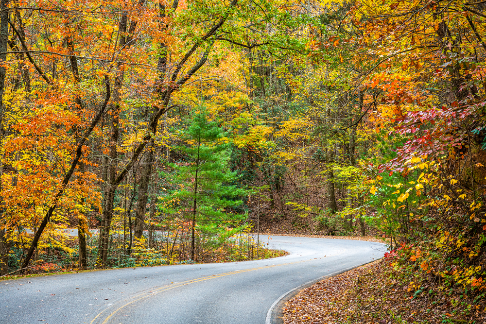 road outside of helen georgia in the fall