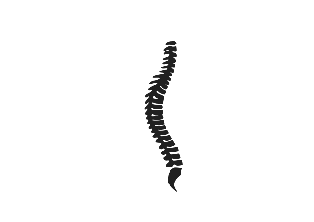 Spine Clip Art Image - ClipSafari