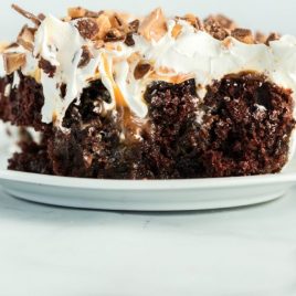 A close up of a piece of chocolate cake on a plate, with Better than sex cake