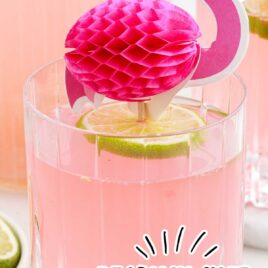 a close up shot of a glass of Pink Flamingo Drink