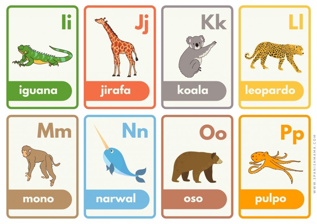 alphabet Spanish flashcards for kids