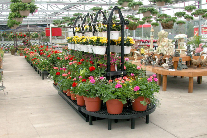 Display of potted plants inside a greenhouse.