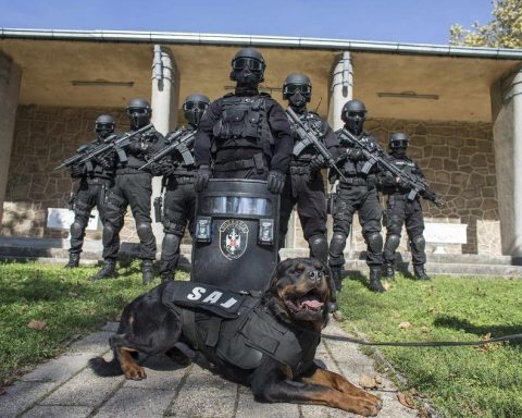 SAJ Operators with K9 Rottweiler Dog